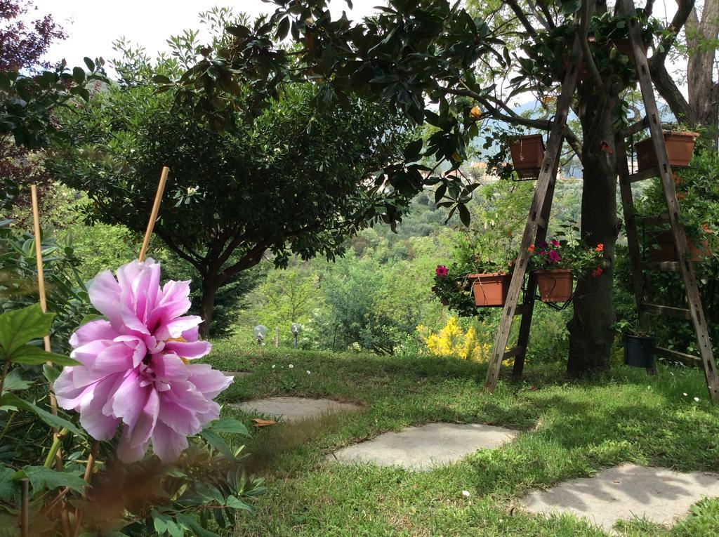 L'Acacia B&B Pietra Ligure Dış mekan fotoğraf