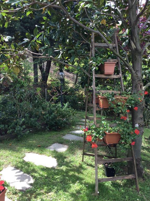 L'Acacia B&B Pietra Ligure Dış mekan fotoğraf